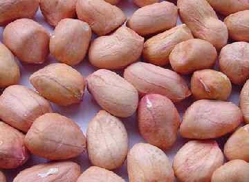 吃花生会胖吗?虽然油脂量高,但却不会导致发胖