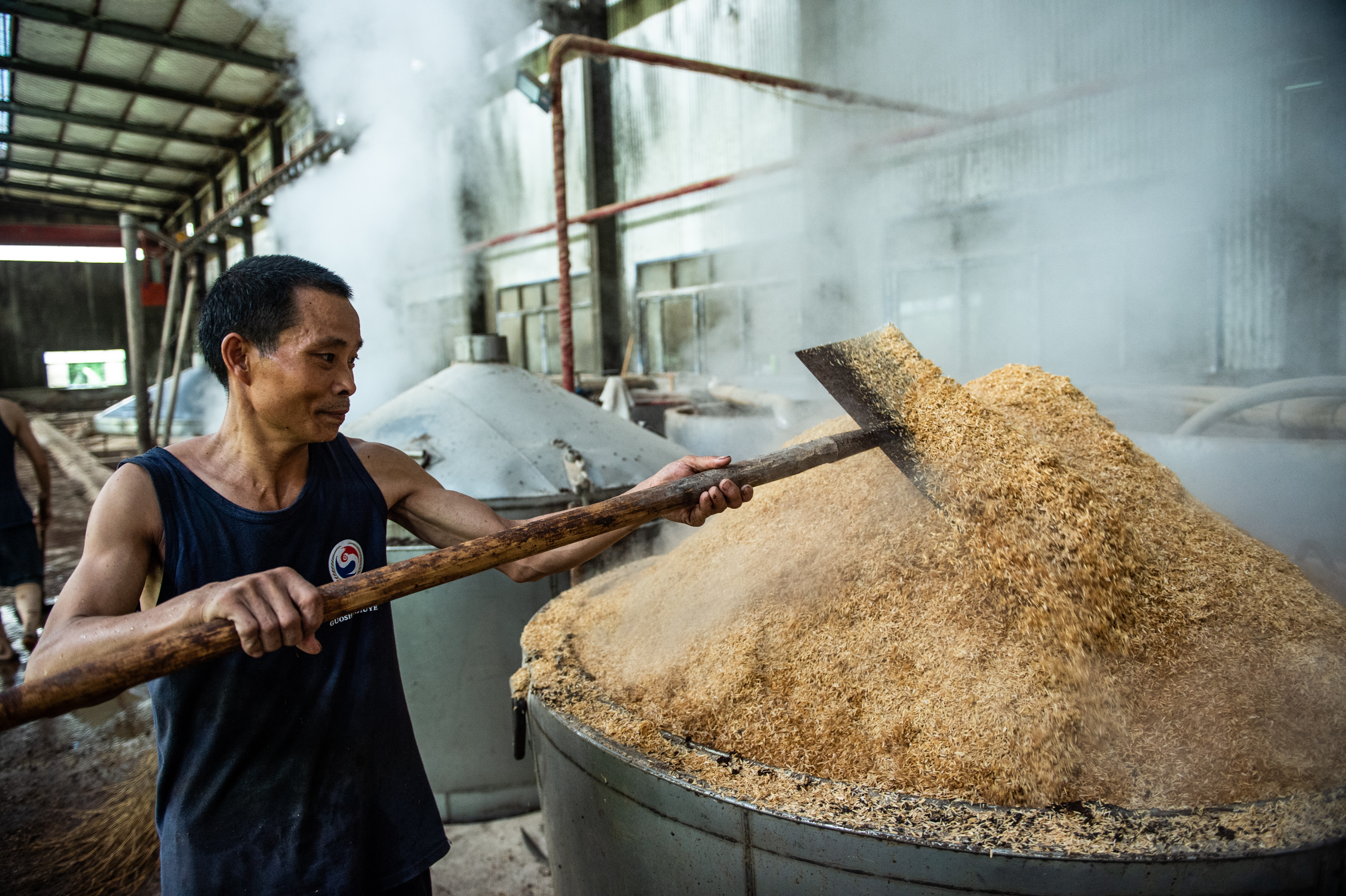 酿酒师傅们按照制曲,下料,摊晾