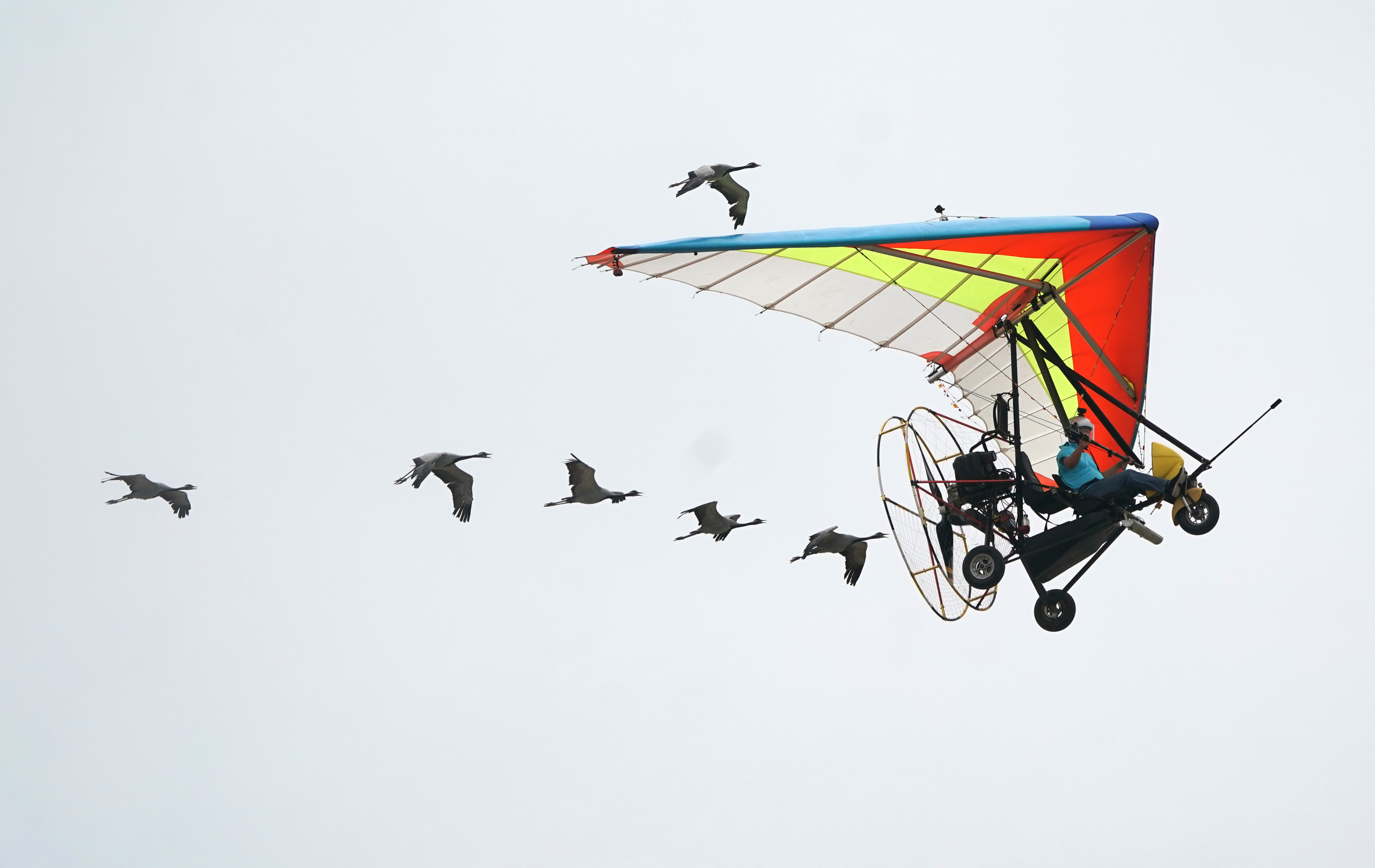 2019国际航联世界飞行者大会在武汉开幕(23)