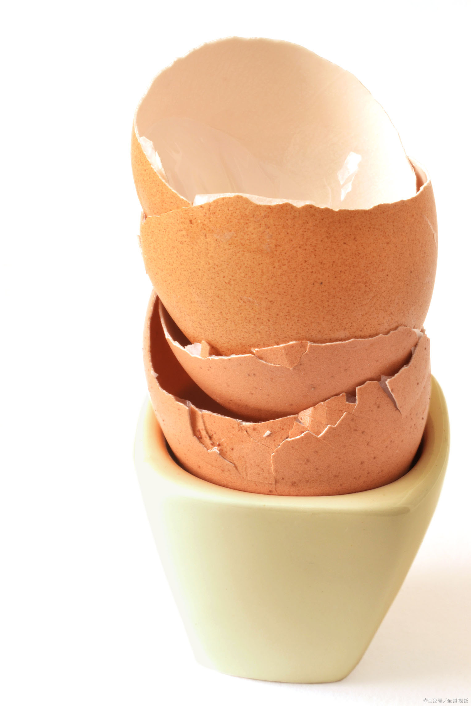 鸡蛋壳作为厨房中常见的垃圾,把蛋壳晾干后碾碎可以制作堆肥,也可以