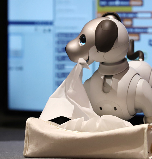 的新闻发布会上展示包括2019限量专色机型在内的索尼机器人狗"爱宝"