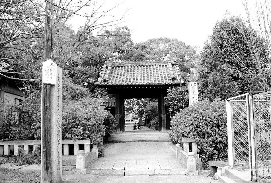 盘点日本·大坂府的景点,你去过大依罗神社吗