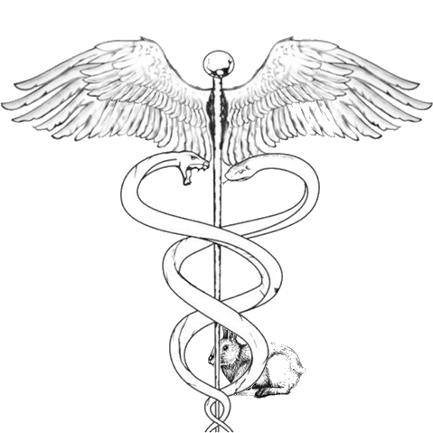 海市蜃楼你真的懂吗?爱琴海出现古代战场