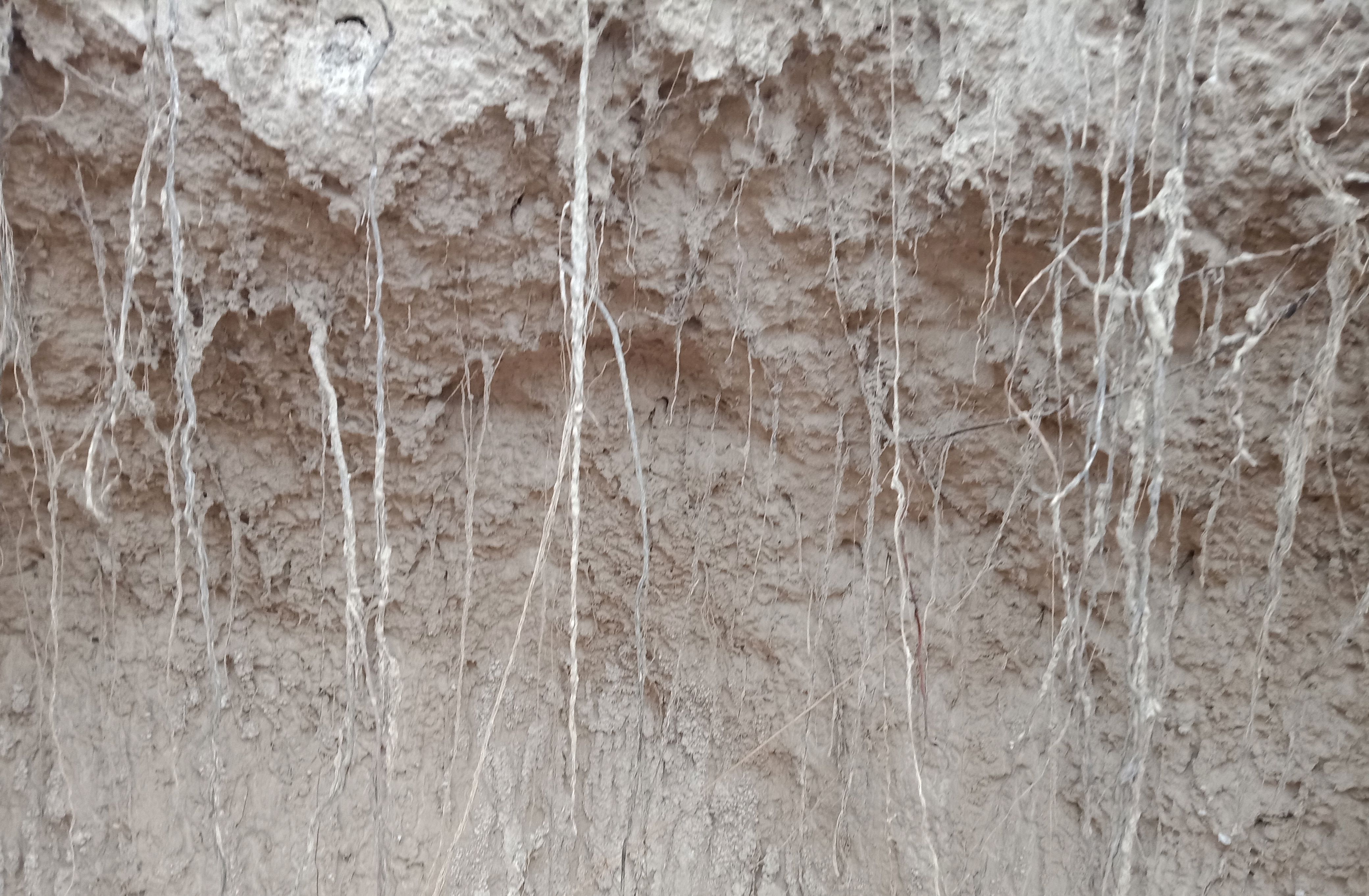 湿陷性黄土地区,经过雨水长期冲蚀,形成的自然景观,一丝一坑一凸一凹