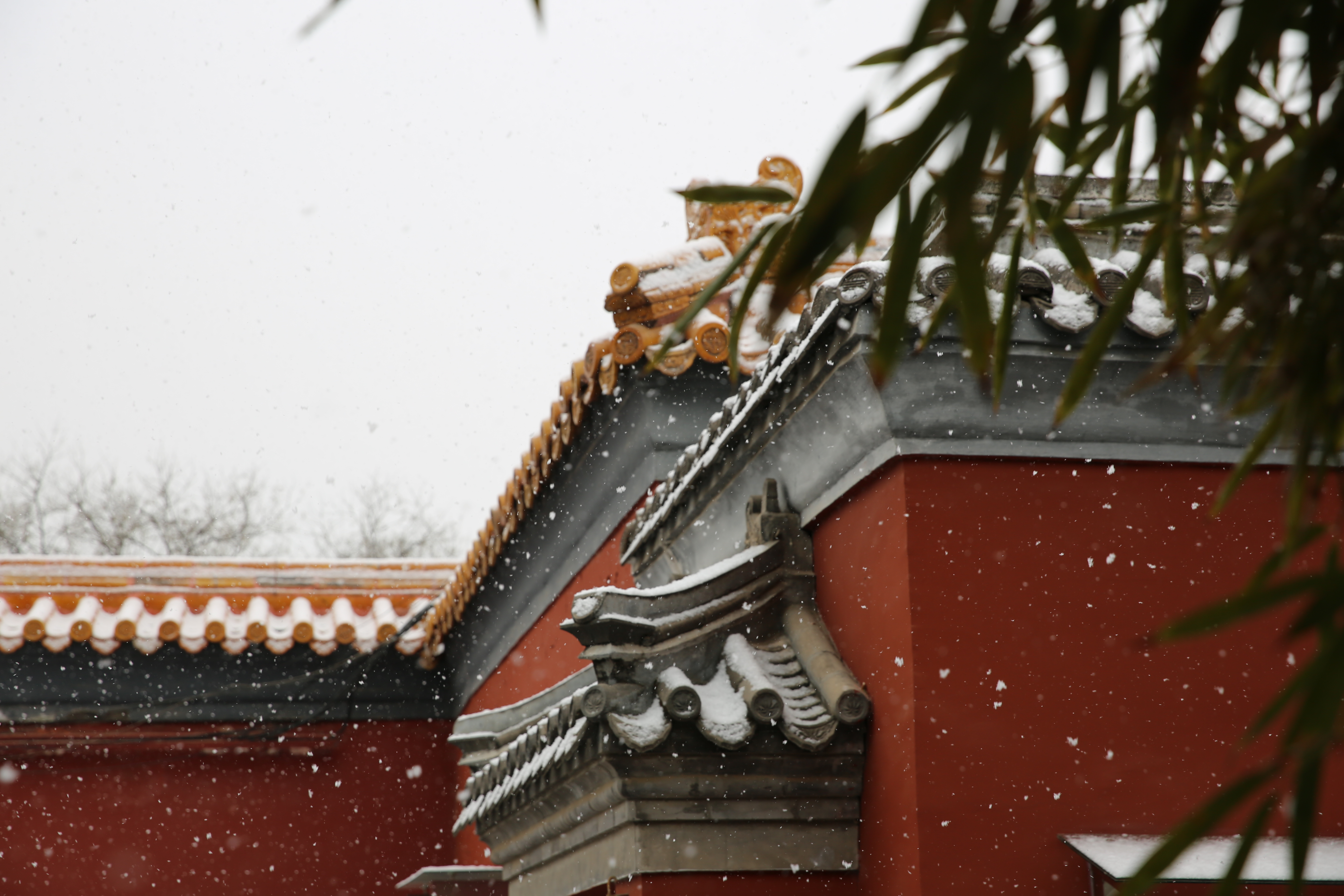 约不上故宫门票?还可以到景山,天坛赏雪景