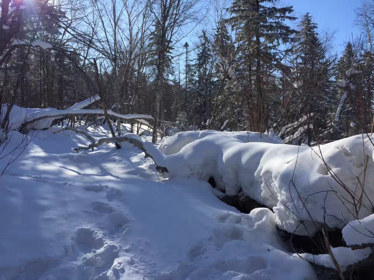 十里冰雪画廊,北国风光的雪域王国