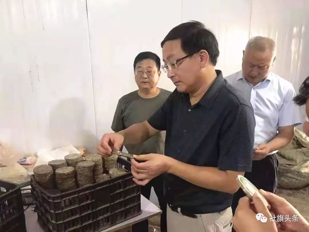 南阳市委副书记曾垂瑞到社旗县暗访脱贫攻坚工作和农村人居环境改善情