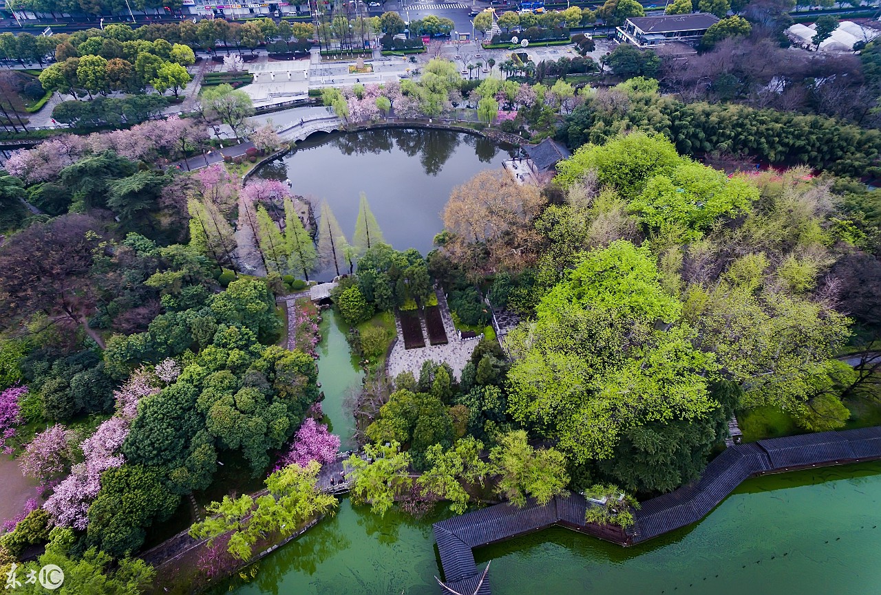 航拍南京莫愁湖,海棠盛开,风景如画!