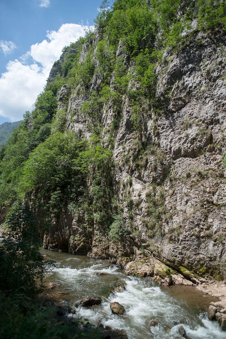 小寨子沟自然保护区位于四川西北部,距北川县城93公里,距绵阳150余