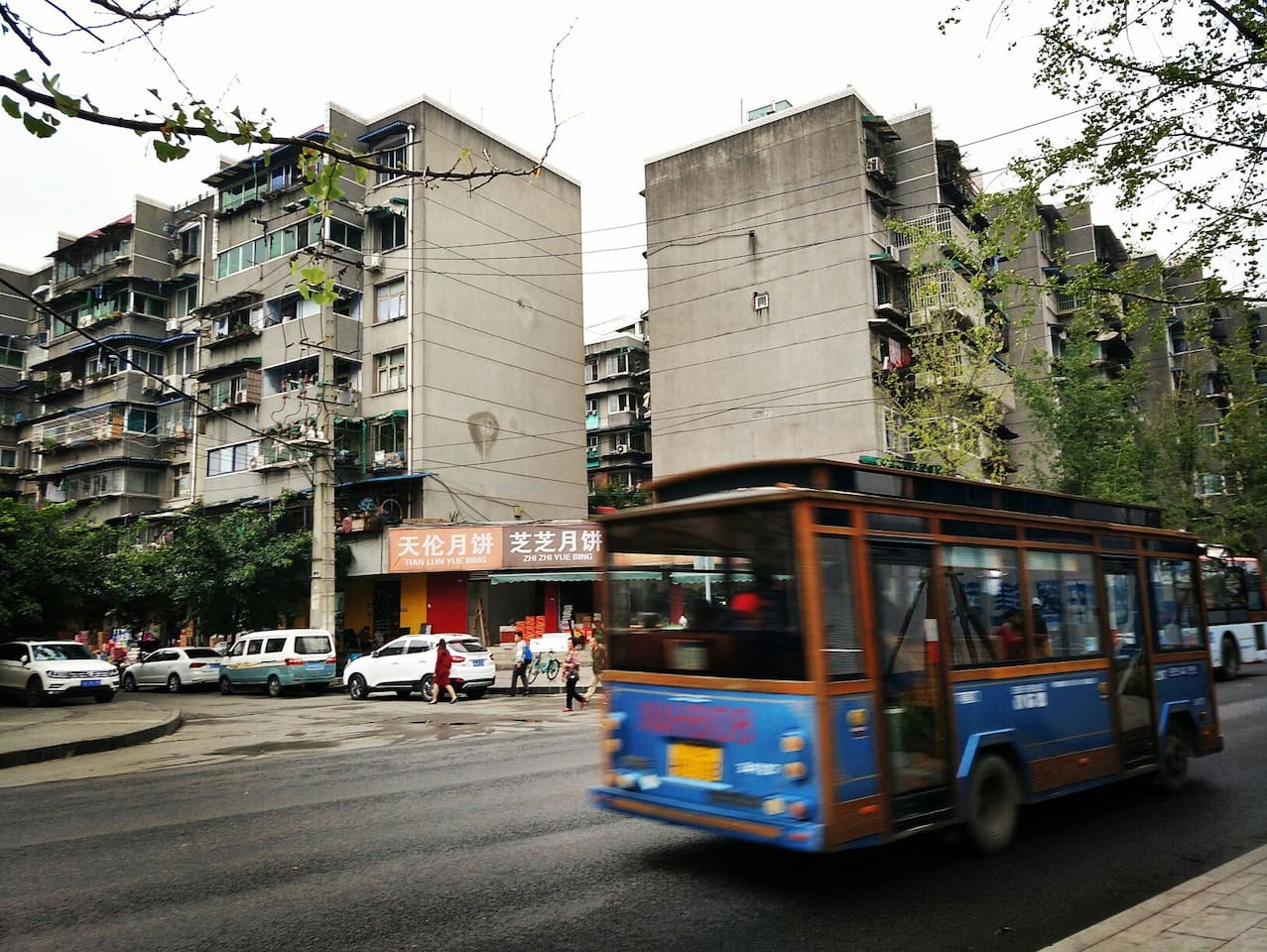 旅游:成都——一个容不下 单身狗 的地方