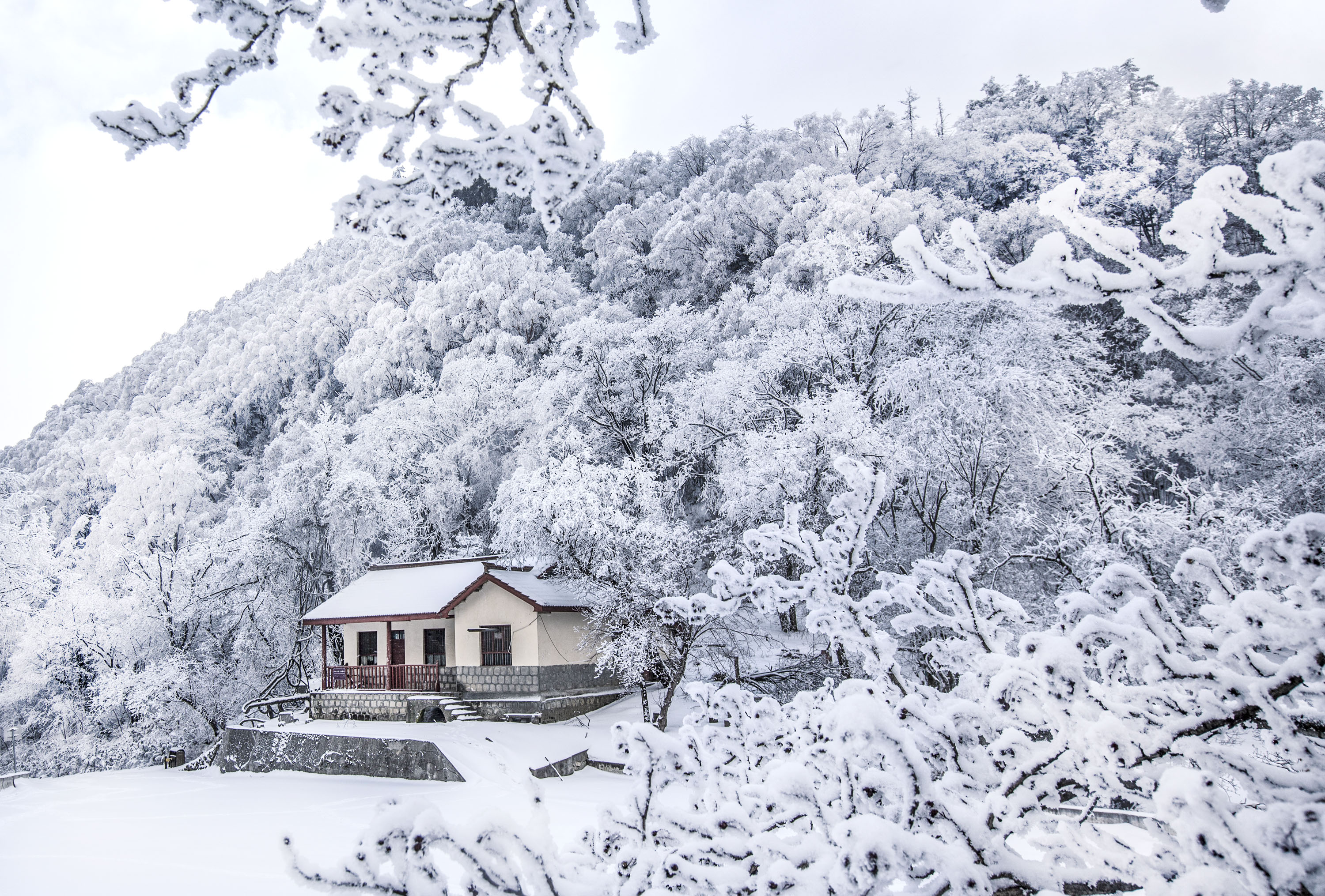 紫柏山雪景图片