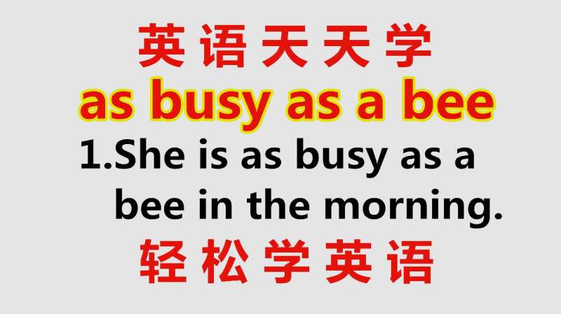 学英语 老说的as Busy As A Bee啥意思 像蜜蜂一样忙 来学习 教育 兴趣学习 好看视频