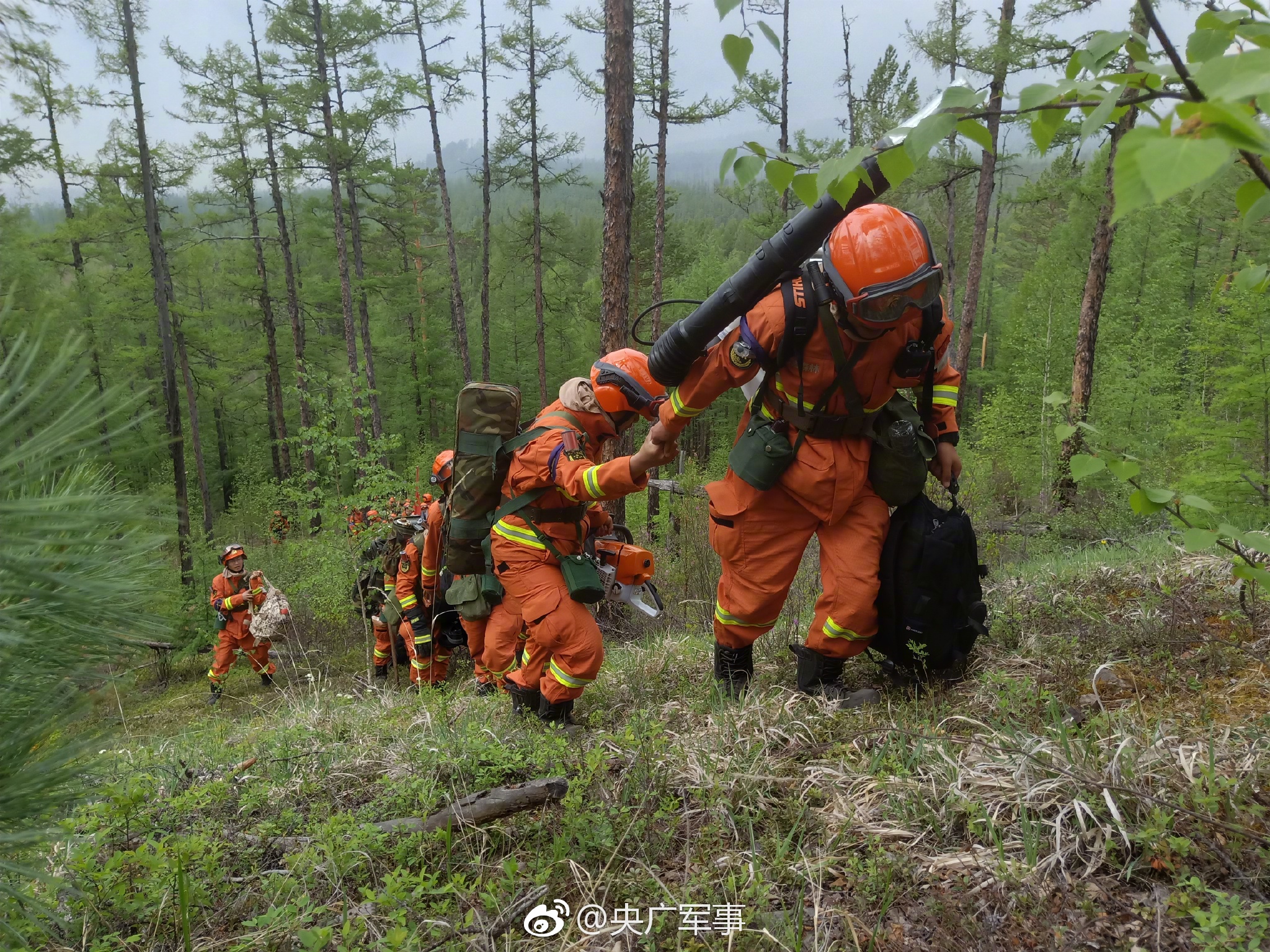 中国武警森林部队图片