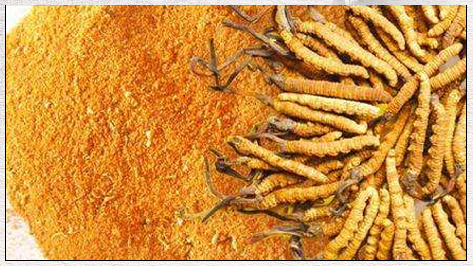 冬虫夏草吃法盘点,有没有你不知道的?