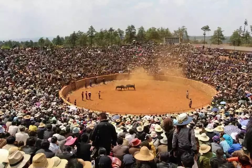 肾上腺素飚升的时候到了!来昆明合法合规玩火