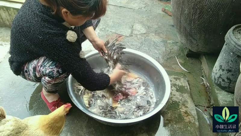 农村妈妈今天杀鸡烫鸡脱毛干起活来非常的娴熟麻利