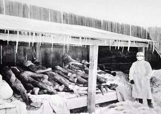 1910年的东北鼠疫有多严重，多少人因此丧命？它又是如何被消灭-袁载誉