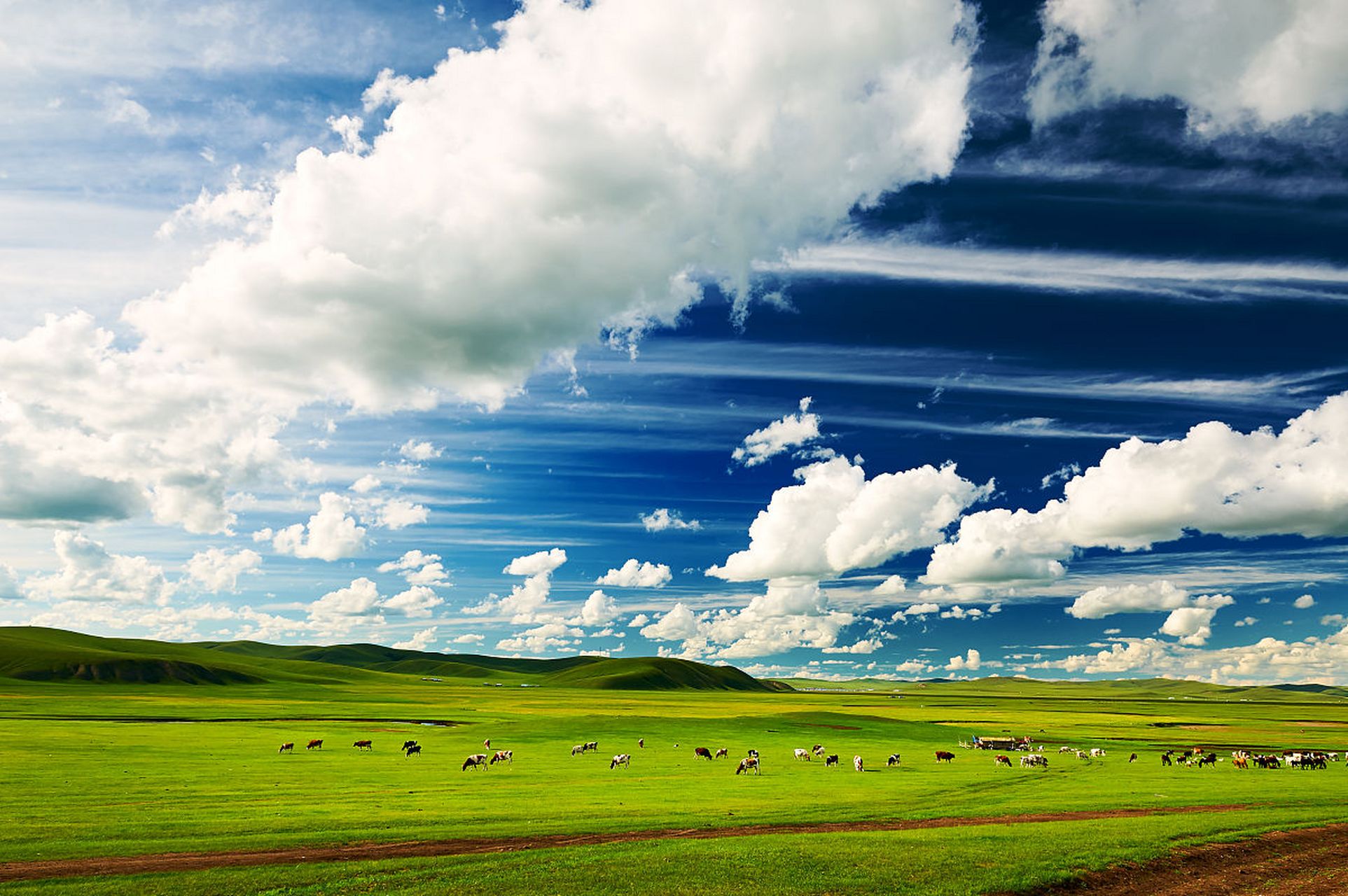 无边无际的绿色草原,还有奔跑的牛羊和飞翔的大鹰,让我感受到了大自然