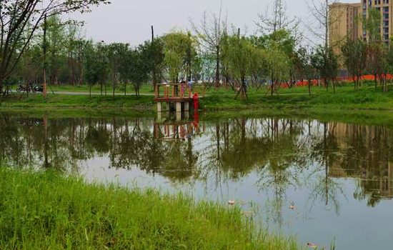 鳳翔雍城湖國家溼地公園,來這裡欣賞風景,放鬆下自己吧!