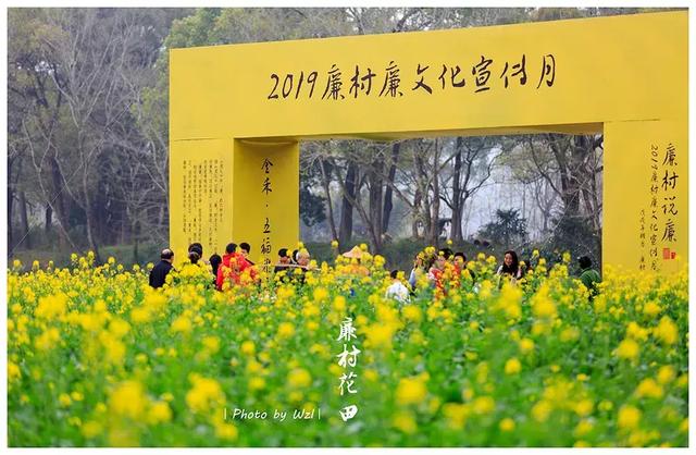 还记得去年朋友圈的廉村油菜花田吗?找个晴天约起