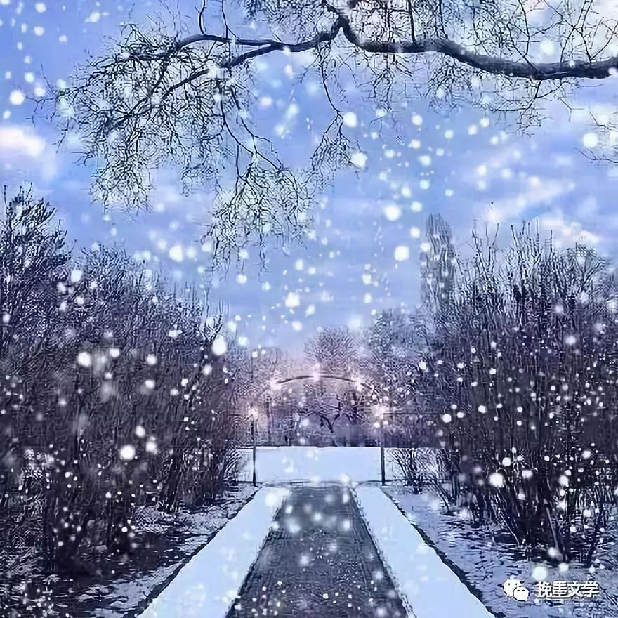 落雪无痕,纤尘不染