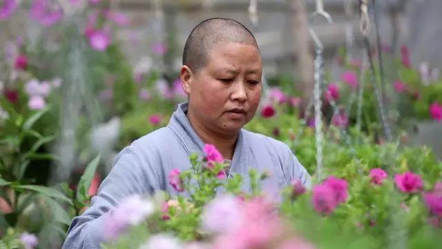 不烧香只种花,中国最美尼姑庵,看一眼都想出家了!