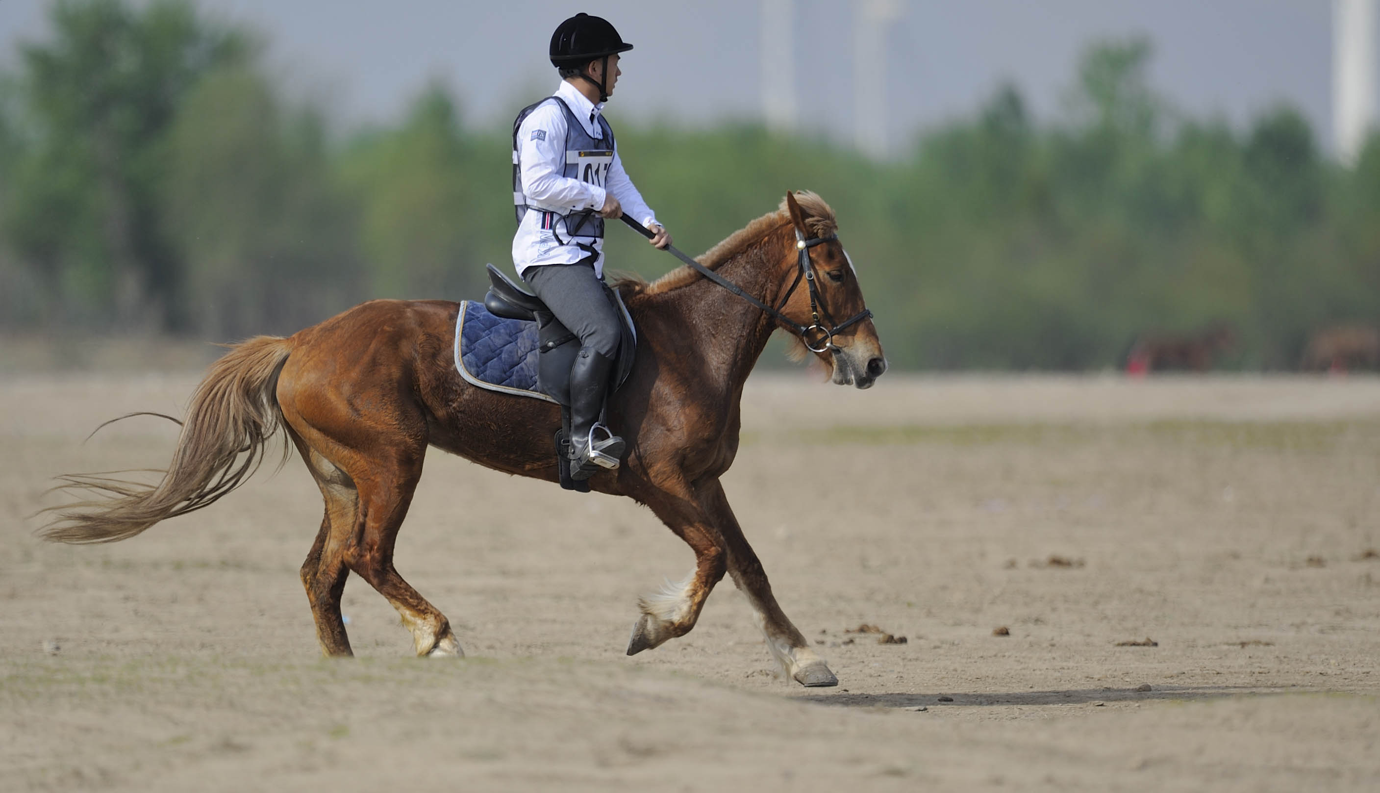 长期骑马好处多:能减肥,能消疲劳,还能激发人的智慧!你造吗?