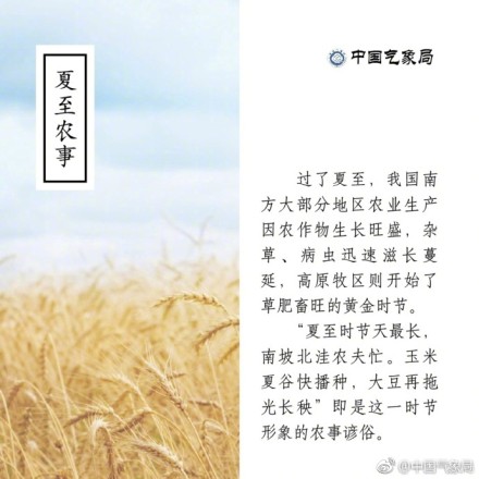 夏至,你会背夏九九歌吗?