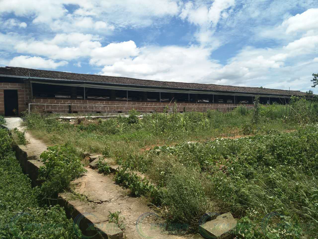 养猪场 - 热门商品专区