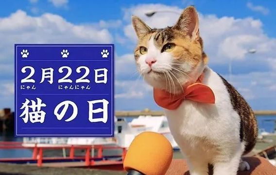 探寻日本猫文化:日本人对喵主子的喜爱值冲破宇宙!