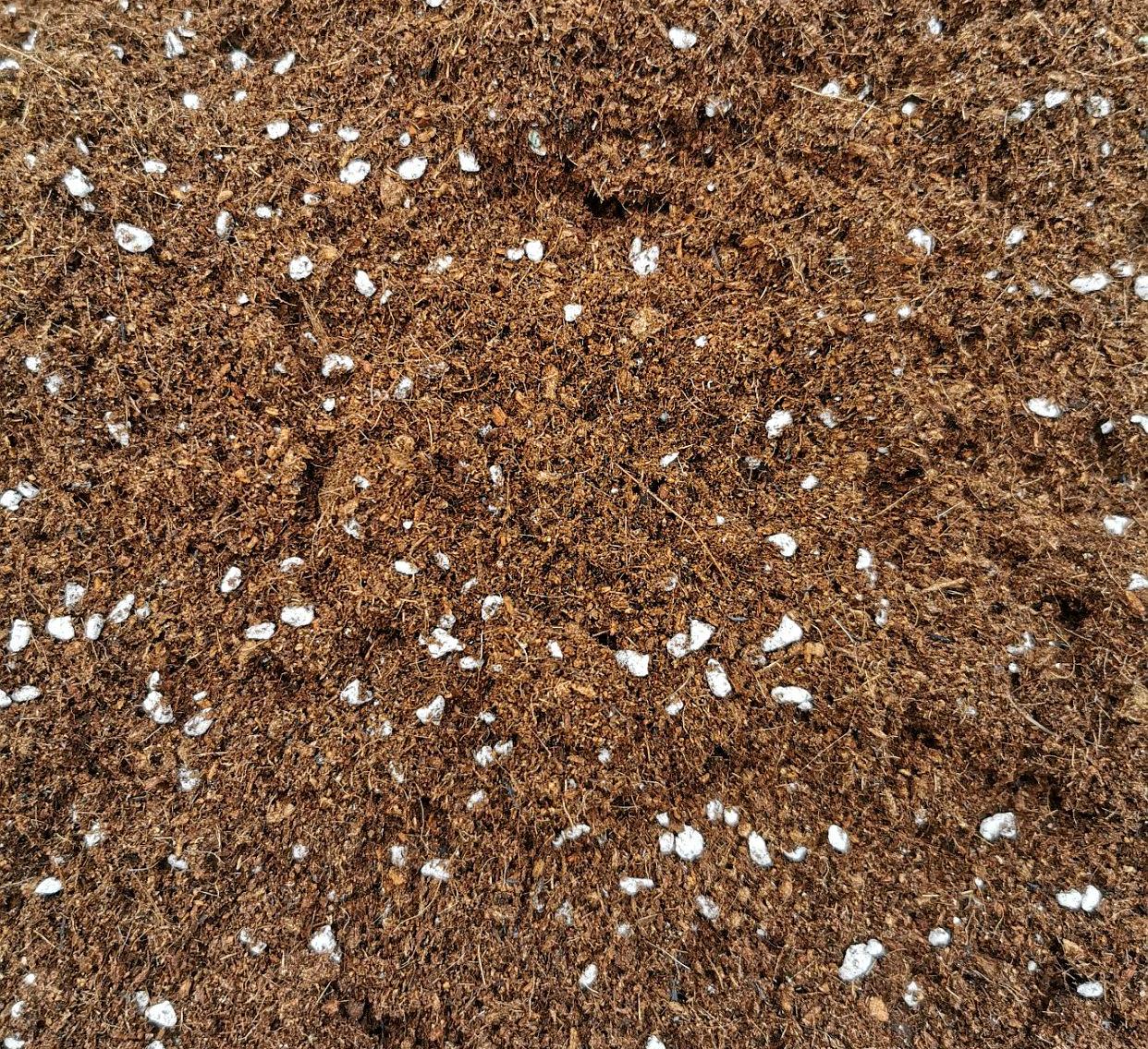 花土- 热门商品专区