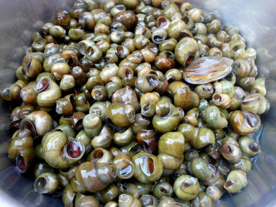 外面吃这3种菜最"不干净",却还是很多人点,店员:我们自己都不吃