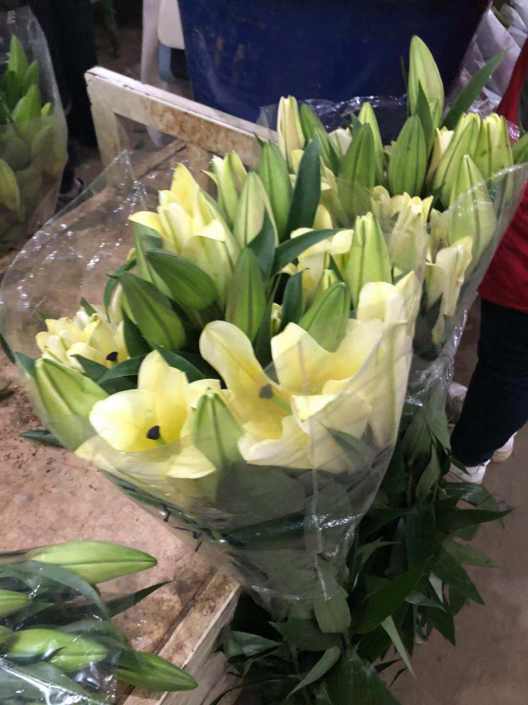 实地探访!周末走进云南昆明斗南花市的百合花市场(多图)