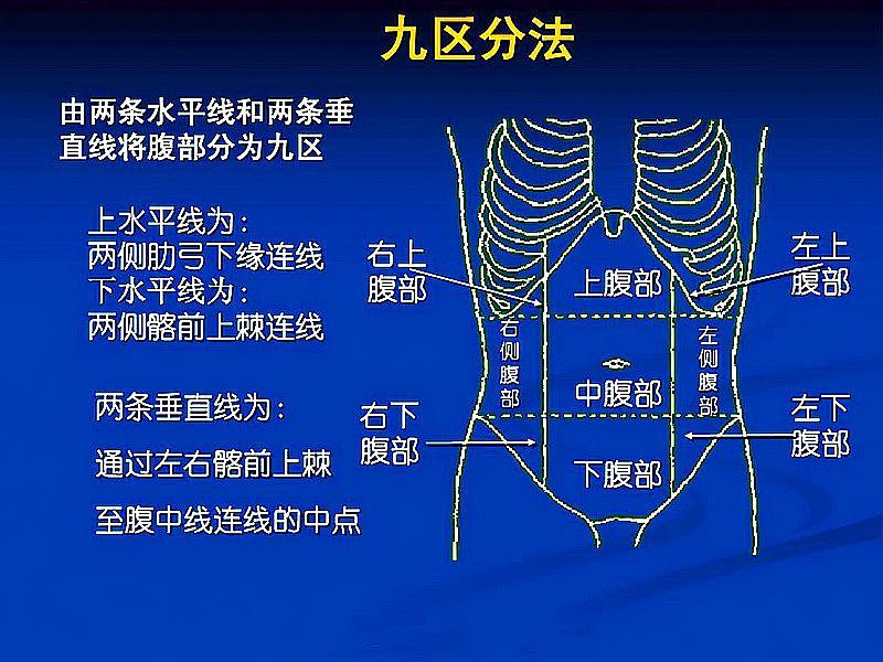 人体腹部分区疼痛点图图片