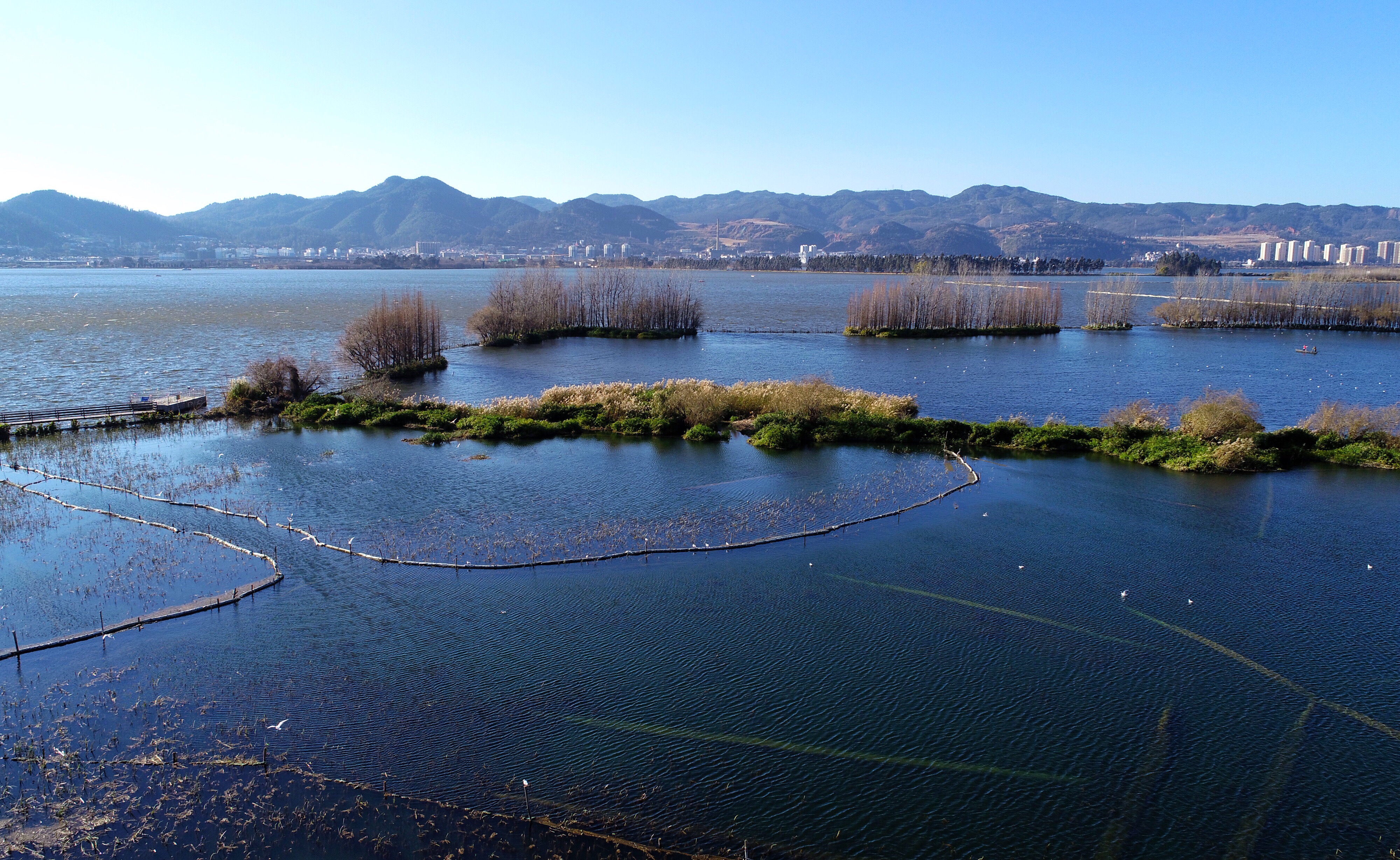 滇池湿地冬日美
