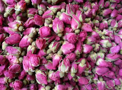 玫瑰花不仅美化生活,还有很高的食用和药用价值,来了解下