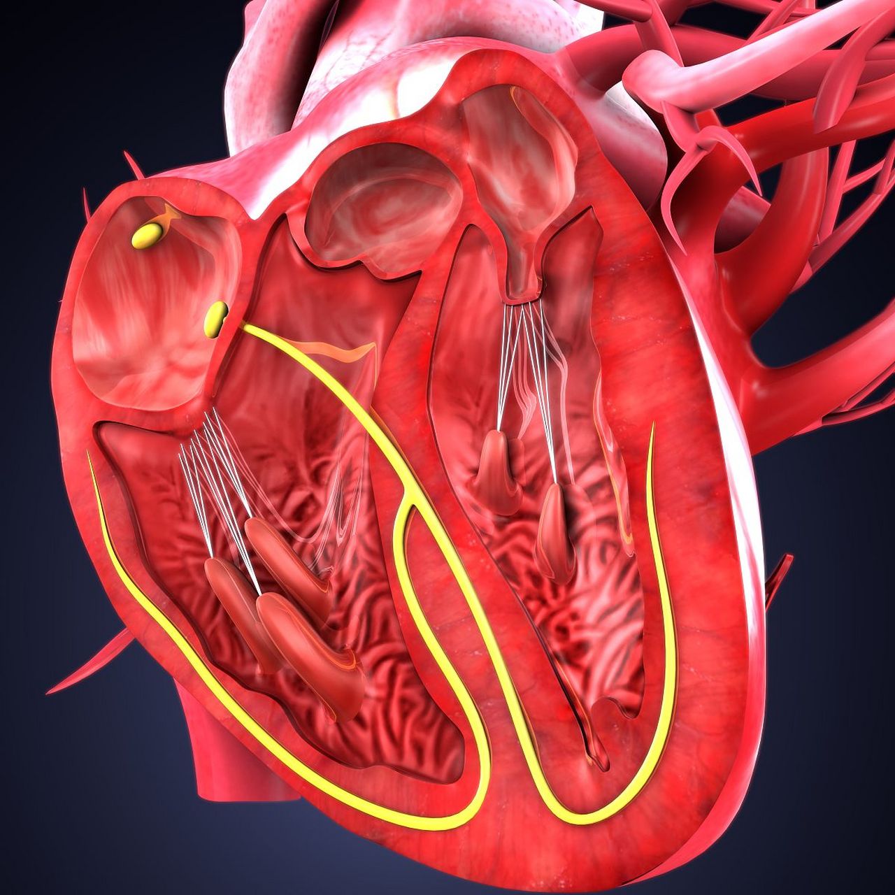 因为心脏瓣膜病,她住过四家大医院,但是得到的治疗建议都差不多,就