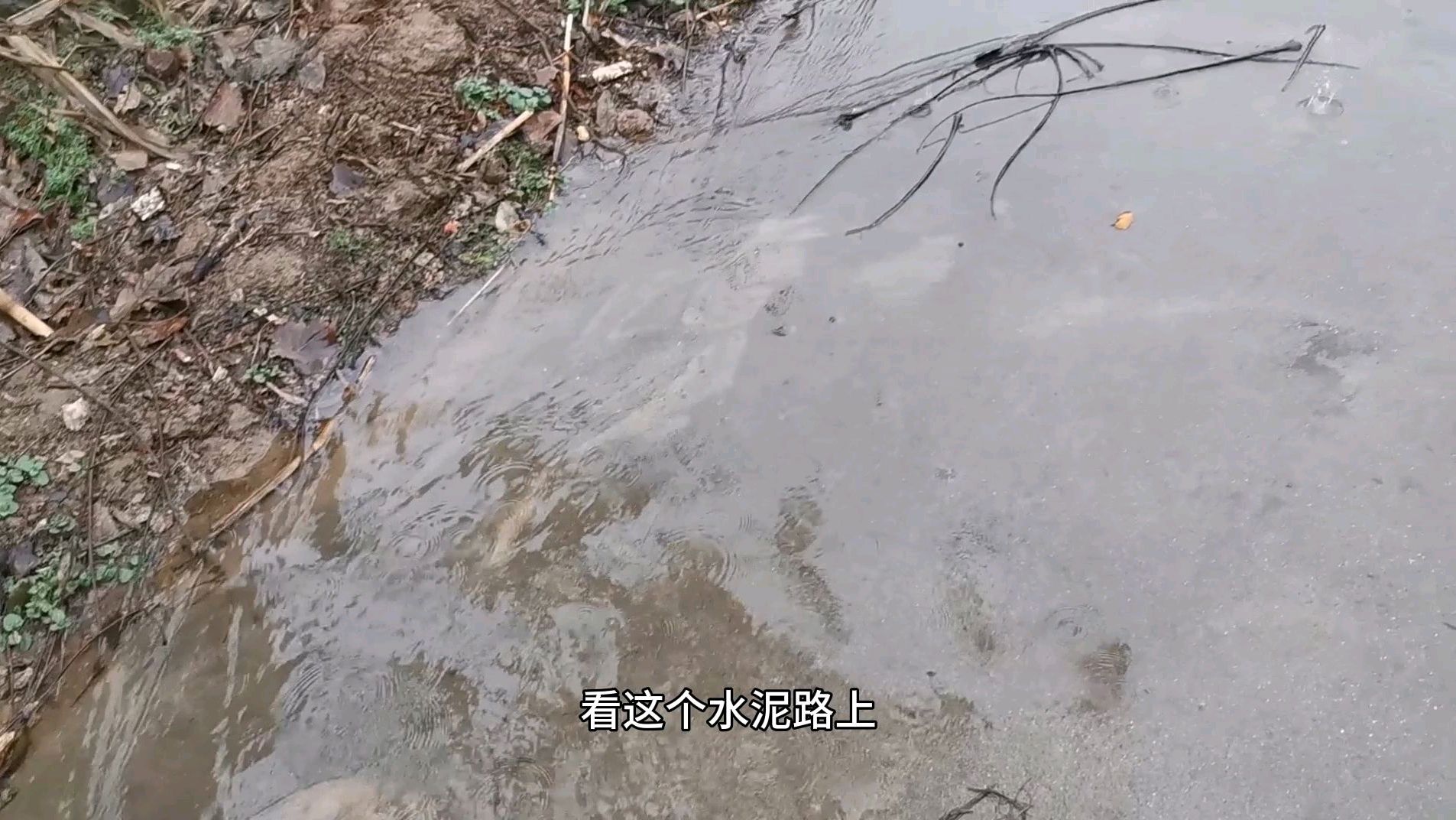 [图]河南大雨不停的下,路面像河流一样,到处是积水