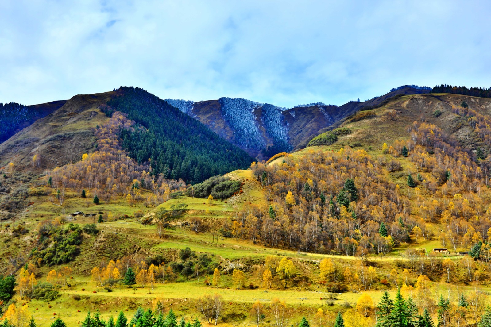 风光摄影:甘南藏族自治州卓尼县秘境里的秋意之美