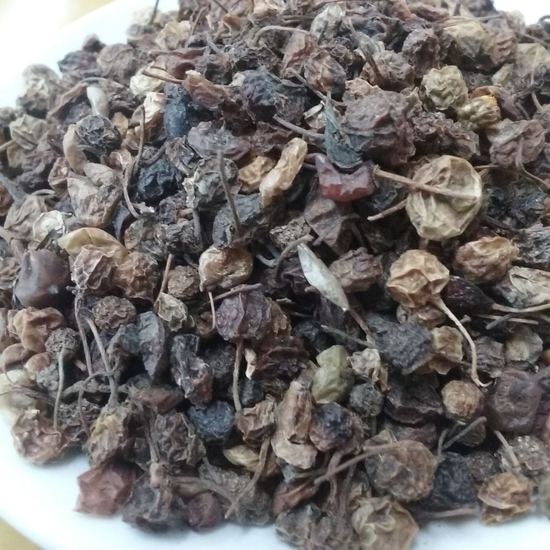 农村孩子小时候都吃过的别名"天宝豆"的龙葵,有什么药用价值?