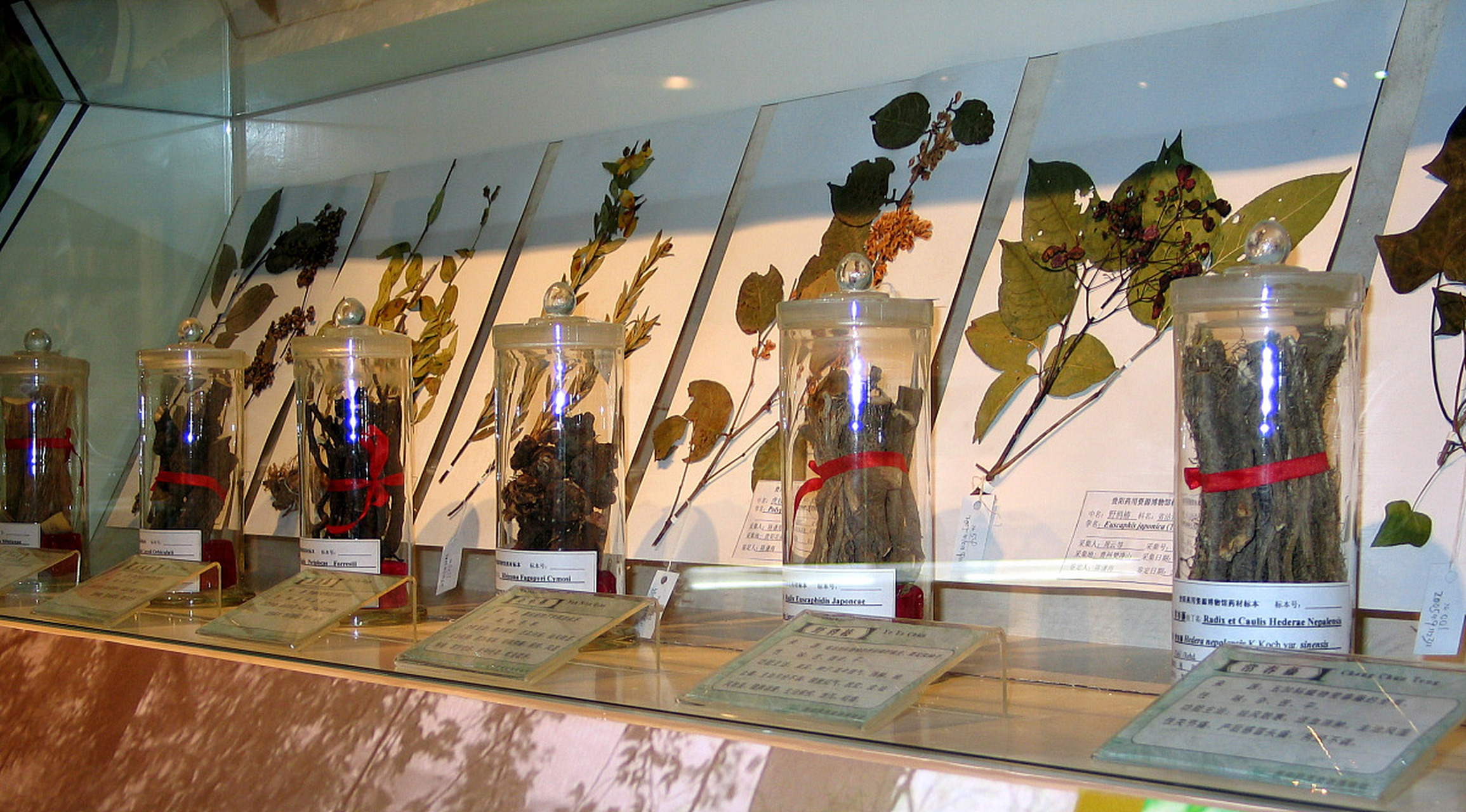 这座坐落于中国药科大学校园的馆内,以独特的中国园林风格迷人无比.