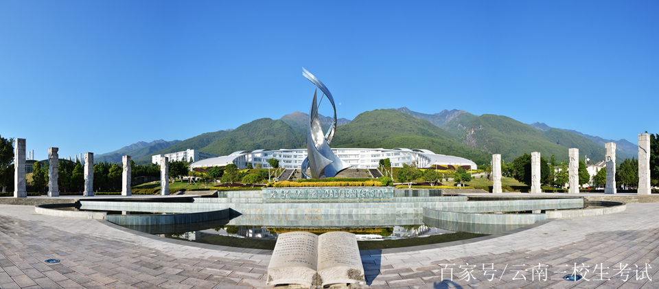 學校雲南師範大學雲南農業大學雲南財經大學雲南師範大學文理學院大理