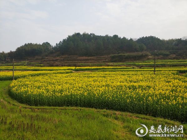 沙塘乡民实村:春耕生产趁农时,扶贫路上百花香