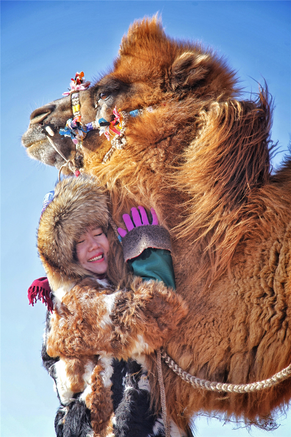 零下30多度,用冰块煮茶吃肉,骑着骆驼穿越中蒙边境无人区