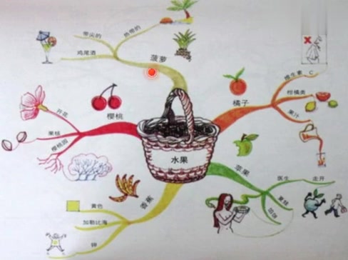 思维导图基础课 第二讲 掌握气泡图,画静物,水果