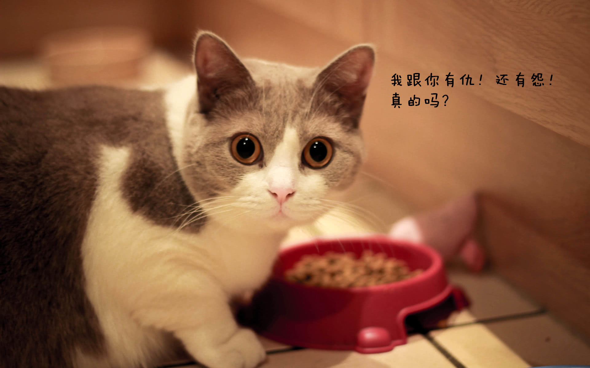搞笑gif:旁边的妹子好淡定,无视我的存在吗?