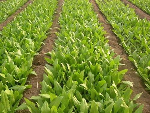 喜阴- 热门商品专区