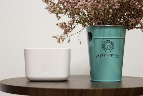 窈窕淑女君子好逑,荣耀路由x2凭外观就俘获人心