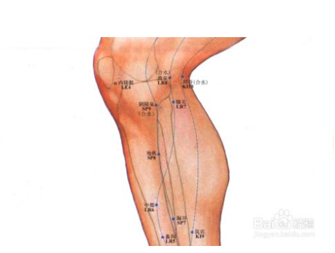 女人大腿中间内侧图片