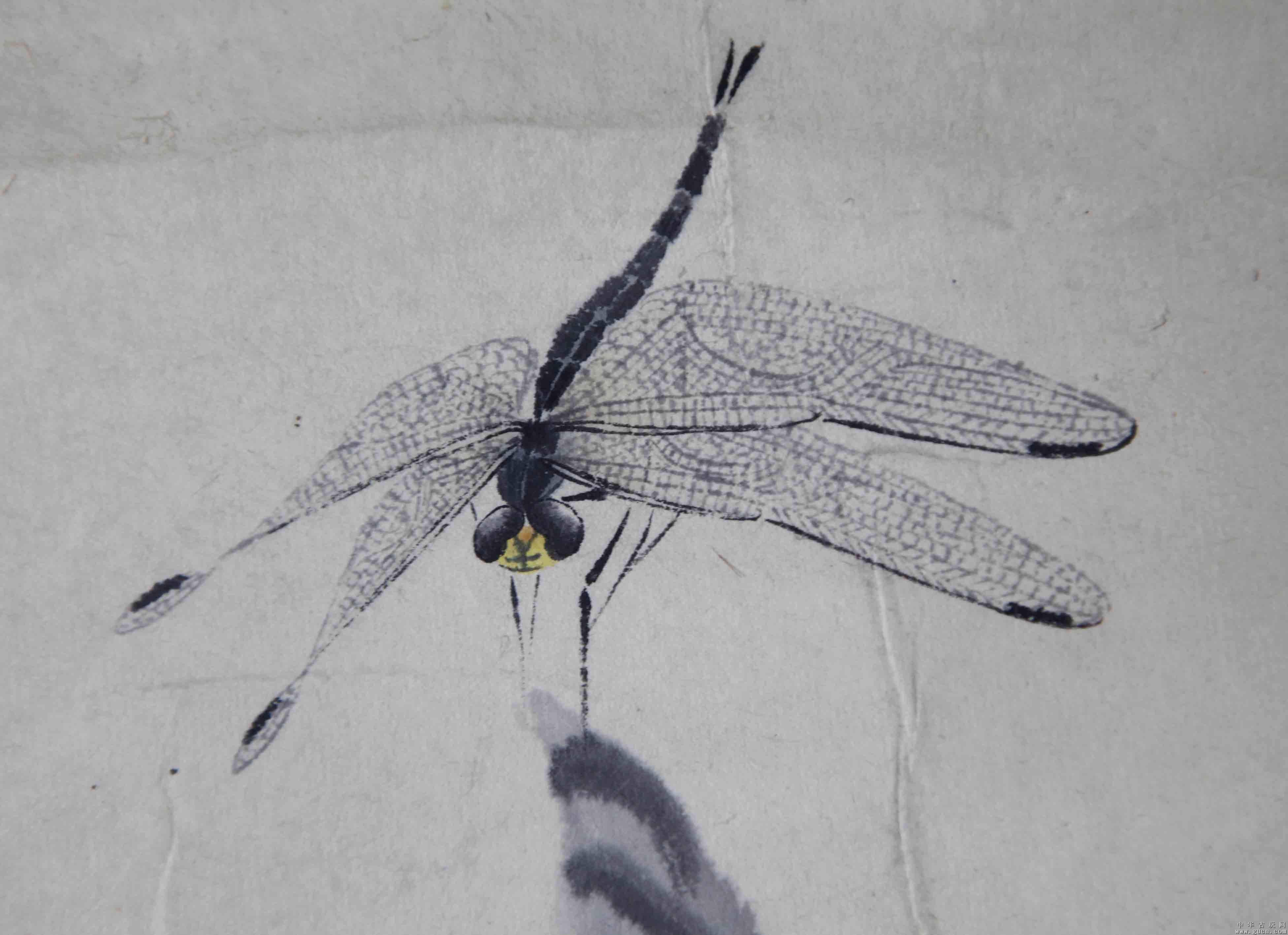 齐白石画的蜻蜓没指甲大,但放大18倍后再看,真的值9亿!